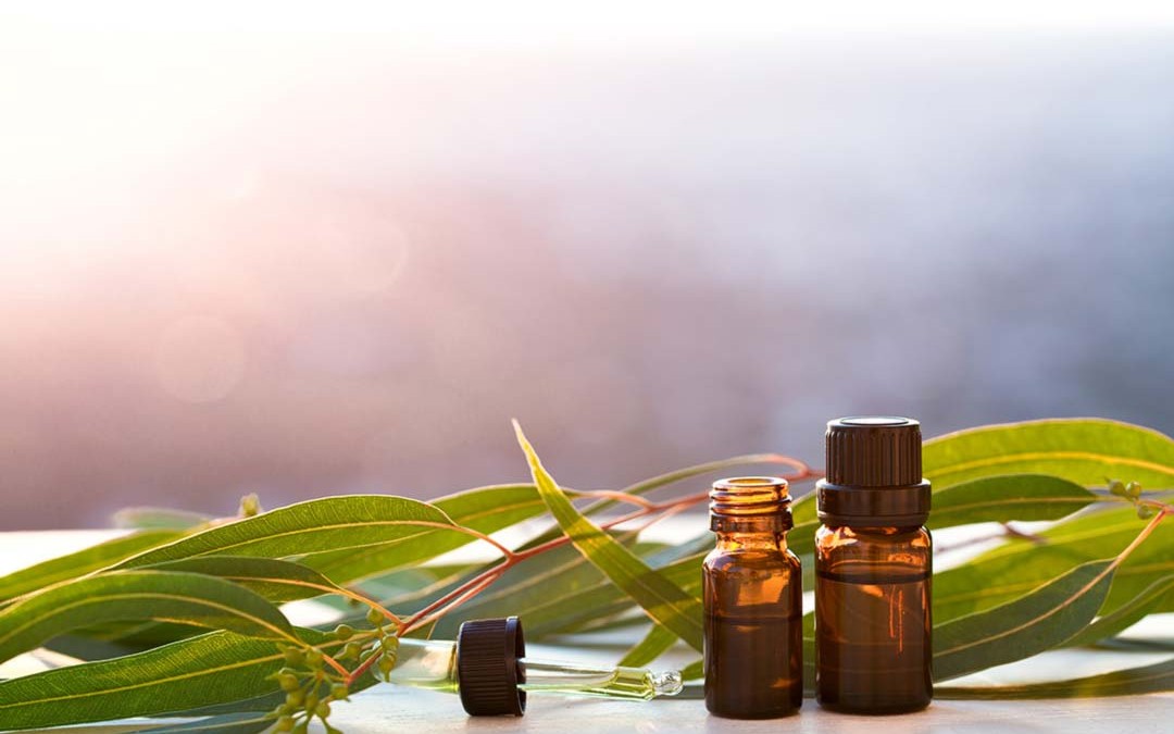 Aromatherapy & Essential Oils to Support the Lymphatic System