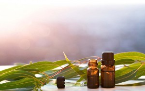 Aromatherapy & Essential Oils for the Lymphatic System - from Beauty