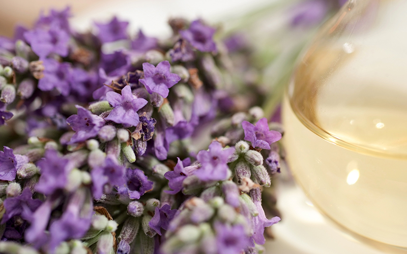 Does Aromatherapy Really Improve Your Health
