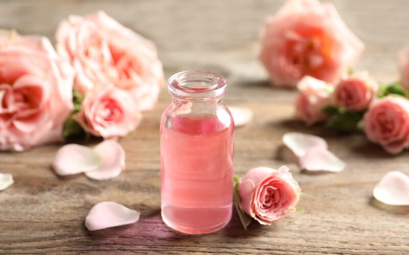 Glass vial of pink rose essential oil amid blooming roses and petals, highlighting aromatherapy uses and natural benefits.